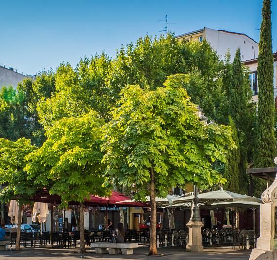 Plaza de Santa Ana y su ambiente