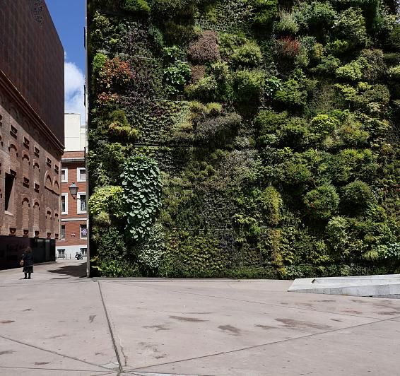 CaixaForum and the “fast” cultural plan