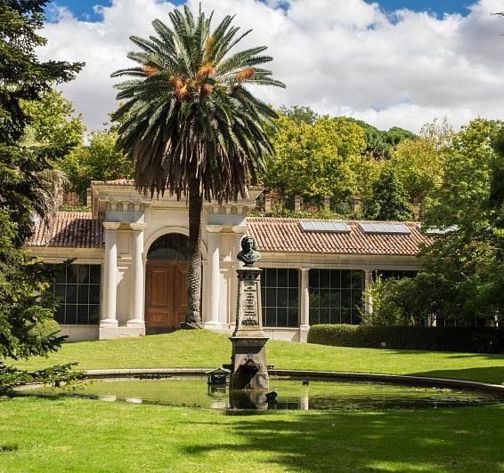 Botanical Garden: a green break in the heart of the city