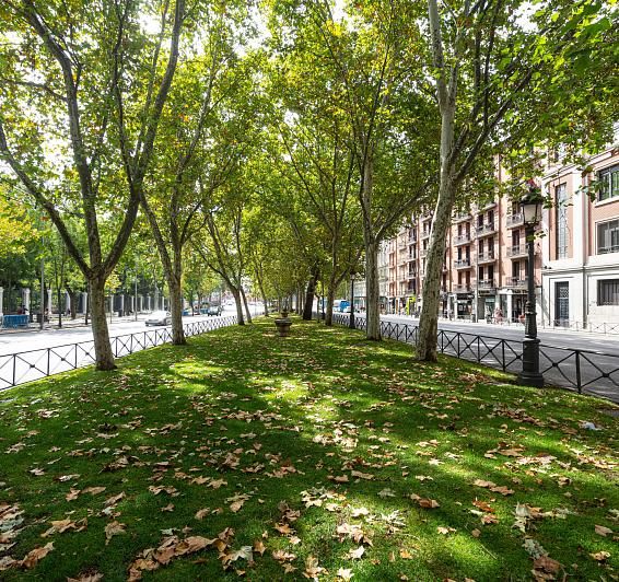 Paseo del Prado: walking among history and monuments
