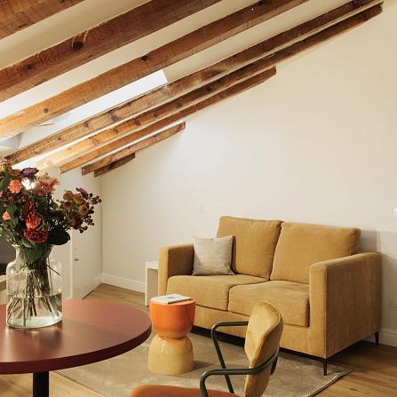 Suite Standard